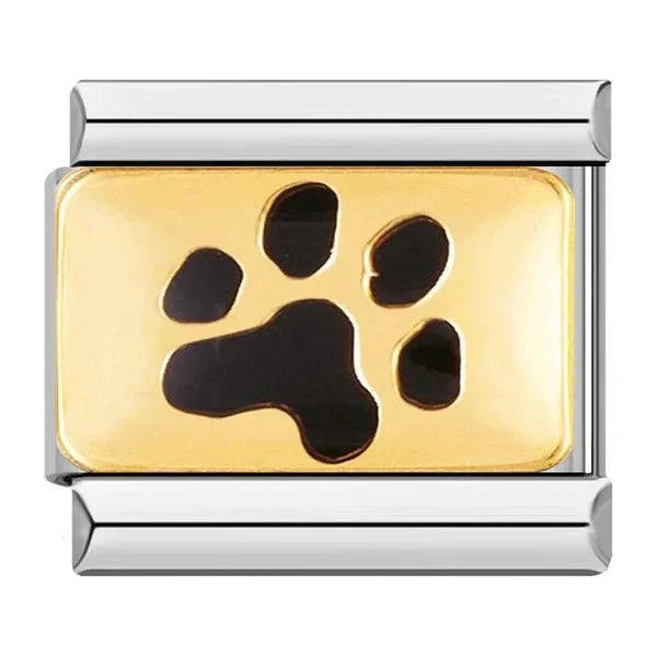 Patte de chien